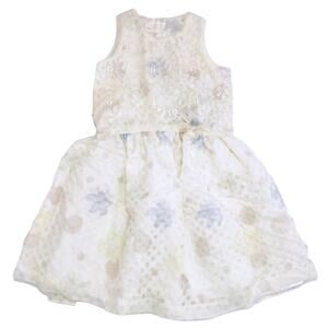 Isobella & Chloe Size 10 Watercolor Petal Lace Dress